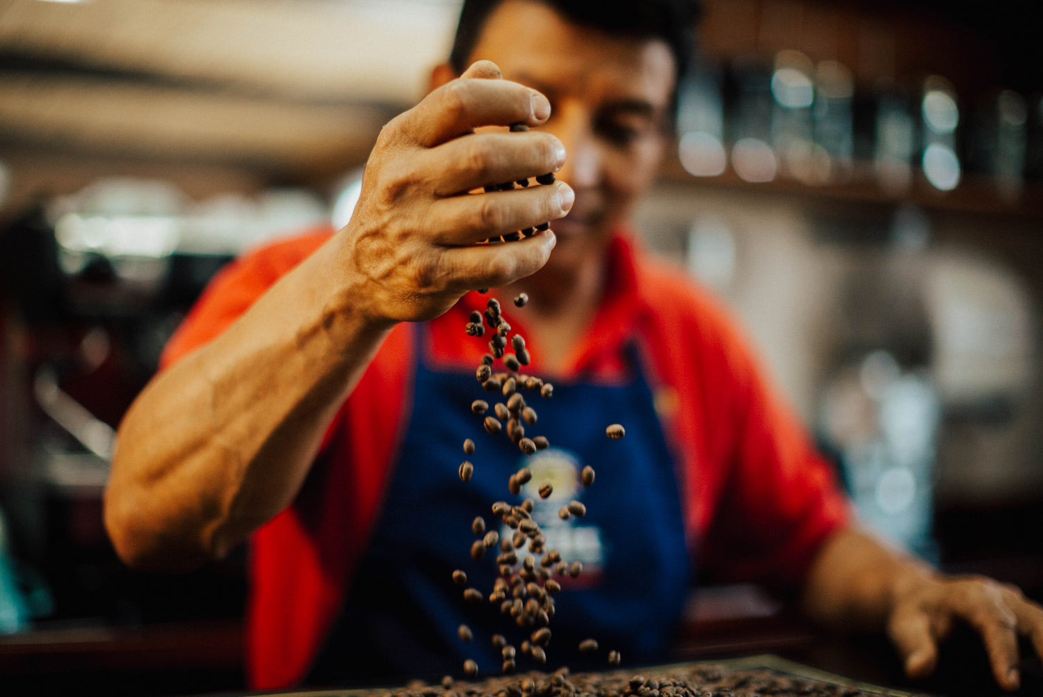 Person holding coffee beans with a blurred background